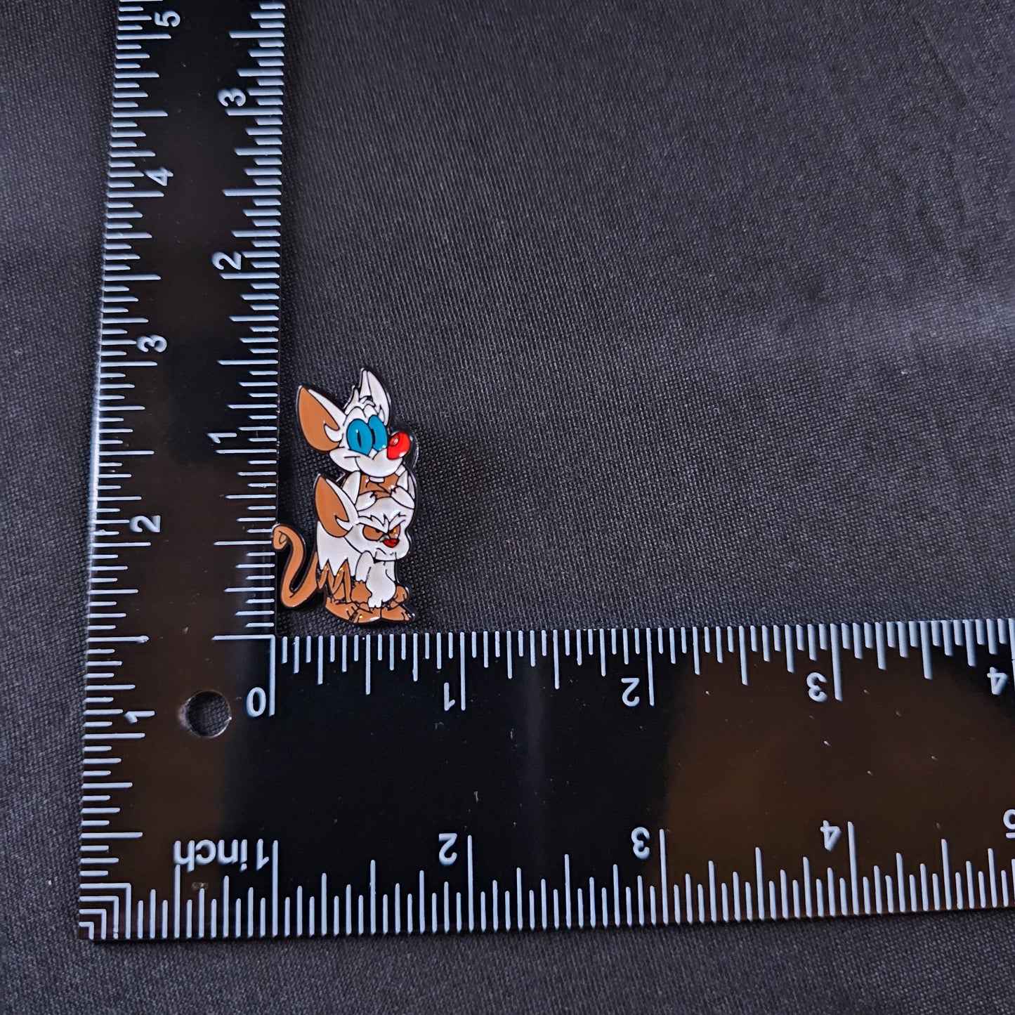 Pinky and The Brain